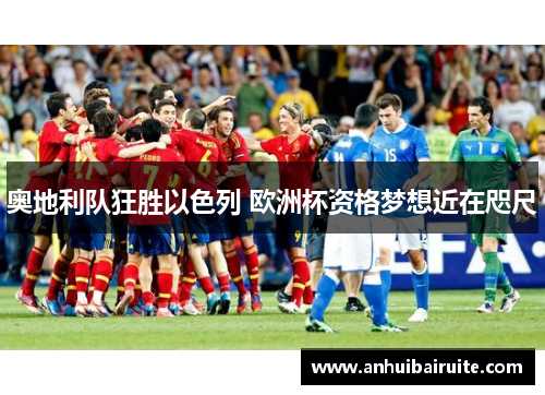 奥地利队狂胜以色列 欧洲杯资格梦想近在咫尺