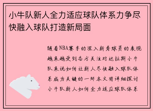 小牛队新人全力适应球队体系力争尽快融入球队打造新局面