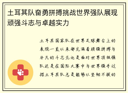 土耳其队奋勇拼搏挑战世界强队展现顽强斗志与卓越实力