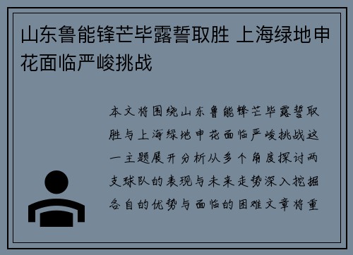 山东鲁能锋芒毕露誓取胜 上海绿地申花面临严峻挑战