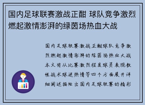 国内足球联赛激战正酣 球队竞争激烈燃起激情澎湃的绿茵场热血大战