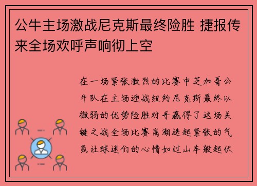 公牛主场激战尼克斯最终险胜 捷报传来全场欢呼声响彻上空