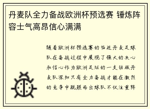丹麦队全力备战欧洲杯预选赛 锤炼阵容士气高昂信心满满