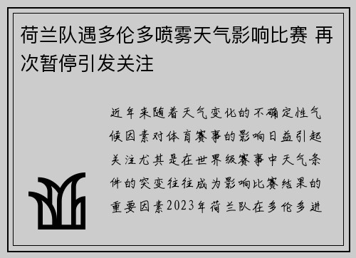 荷兰队遇多伦多喷雾天气影响比赛 再次暂停引发关注